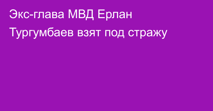 Экс-глава МВД Ерлан Тургумбаев взят под стражу