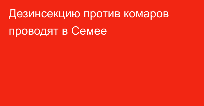 Дезинсекцию против комаров проводят в Семее