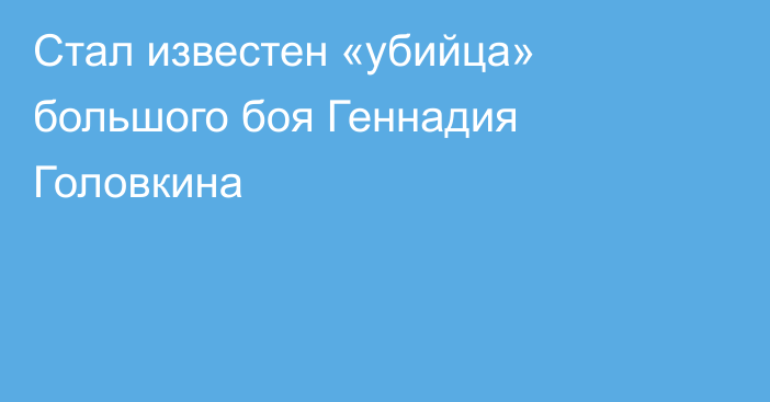 Стал известен «убийца» большого боя Геннадия Головкина