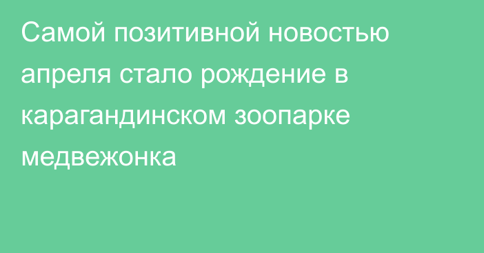 Самой позитивной новостью апреля стало рождение в карагандинском зоопарке медвежонка