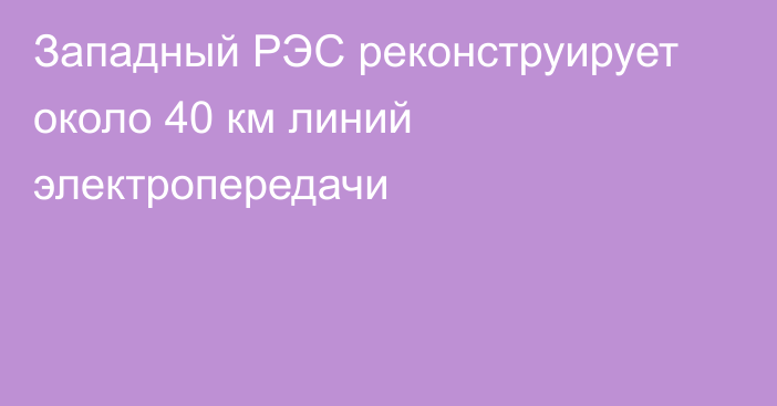 Западный РЭС реконструирует около 40 км линий электропередачи 