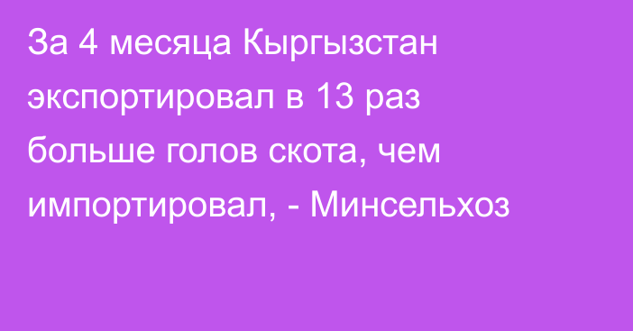 За 4 месяца Кыргызстан экспортировал в 13 раз больше голов скота, чем импортировал, - Минсельхоз 