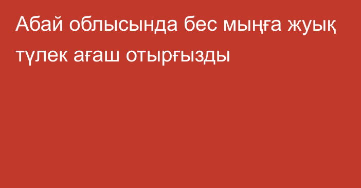 Абай облысында бес мыңға жуық түлек ағаш отырғызды