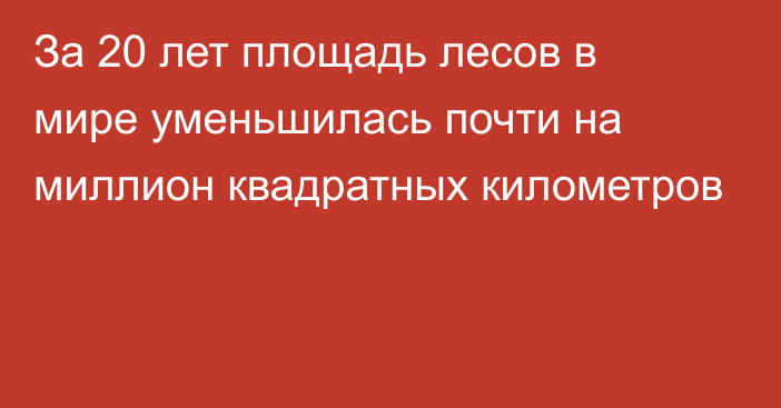 За 20 лет площадь лесов в мире уменьшилась почти на миллион квадратных километров