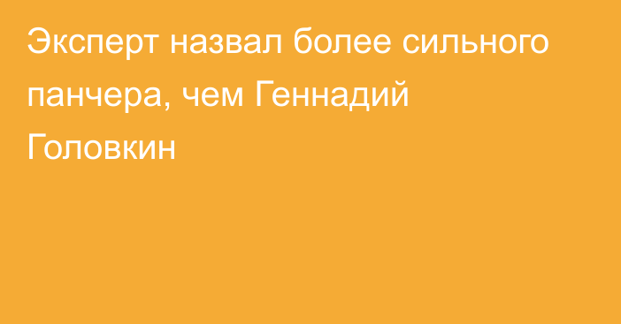 Эксперт назвал более сильного панчера, чем Геннадий Головкин