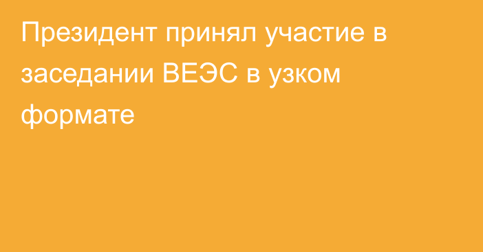 Президент принял участие в заседании ВЕЭС в узком формате