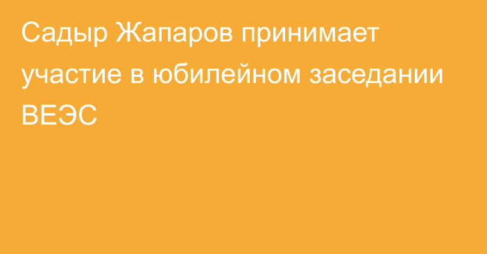 Садыр Жапаров принимает участие в юбилейном заседании ВЕЭС