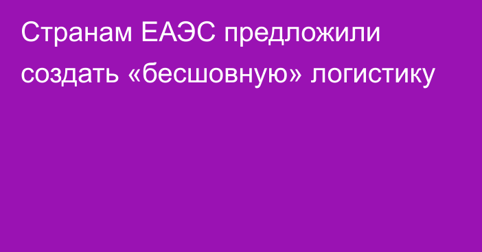 Странам ЕАЭС предложили создать «бесшовную» логистику