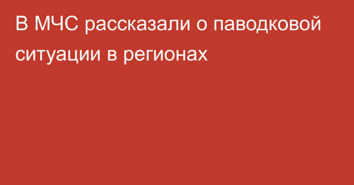 В МЧС рассказали о паводковой ситуации в регионах