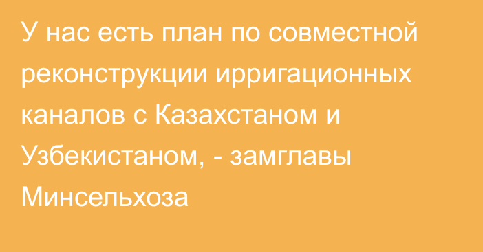 У нас есть план по совместной реконструкции ирригационных каналов с Казахстаном и Узбекистаном, - замглавы Минсельхоза 