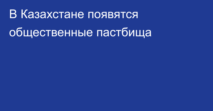 В Казахстане появятся общественные пастбища