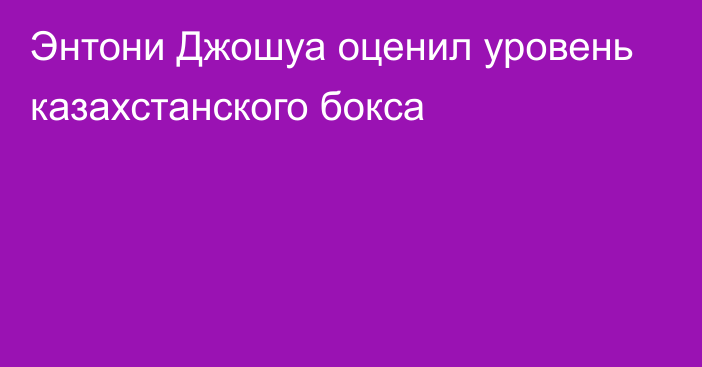 Энтони Джошуа оценил уровень казахстанского бокса