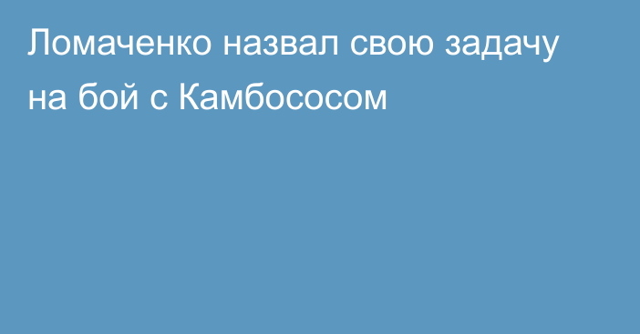 Ломаченко назвал свою задачу на бой с Камбососом