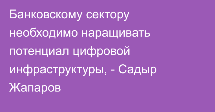 Банковскому сектору необходимо наращивать потенциал цифровой инфраструктуры, - Садыр Жапаров