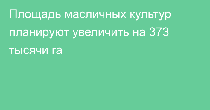 Площадь масличных культур планируют увеличить на 373 тысячи га