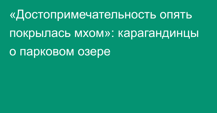 «Достопримечательность опять покрылась мхом»: карагандинцы о парковом озере