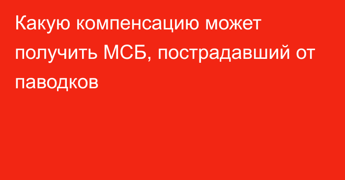 Какую компенсацию может получить МСБ, пострадавший от паводков