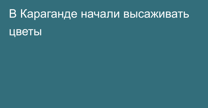 В Караганде начали высаживать цветы