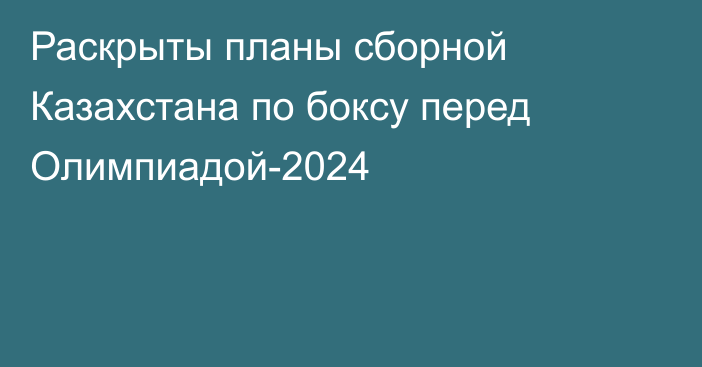 Раскрыты планы сборной Казахстана по боксу перед Олимпиадой-2024