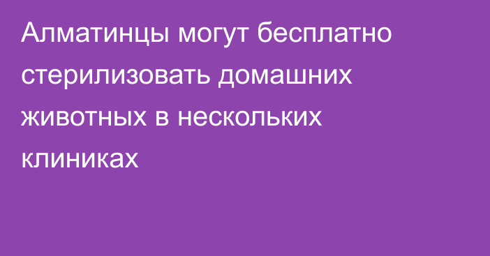 Алматинцы могут бесплатно стерилизовать домашних животных в нескольких клиниках