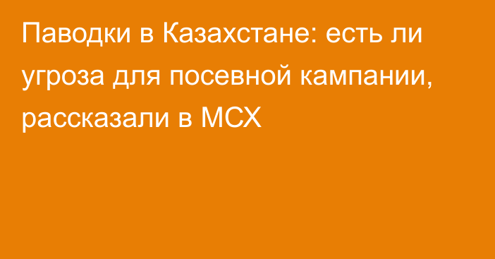 Паводки в Казахстане: есть ли угроза для посевной кампании, рассказали в МСХ