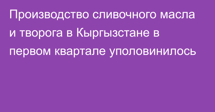 Производство сливочного масла и творога в Кыргызстане в первом квартале уполовинилось