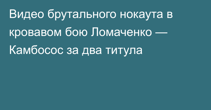 Видео брутального нокаута в кровавом бою Ломаченко — Камбосос за два титула