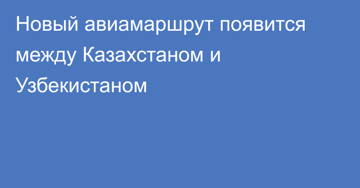 Новый авиамаршрут появится между Казахстаном и Узбекистаном