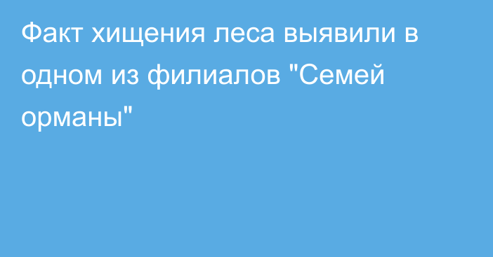 Факт хищения леса выявили в одном из филиалов 