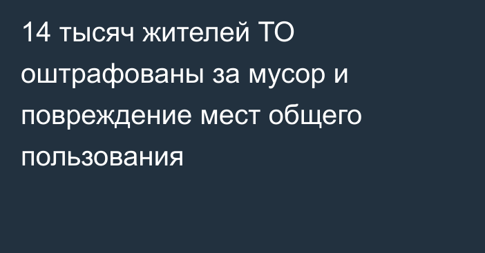 14 тысяч жителей ТО оштрафованы за мусор и повреждение мест общего пользования