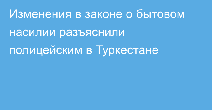 Изменения в законе о бытовом насилии разъяснили полицейским в Туркестане