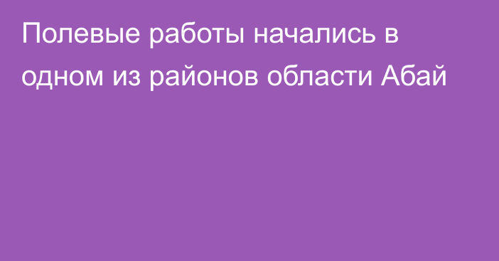 Полевые работы начались в одном из районов области Абай