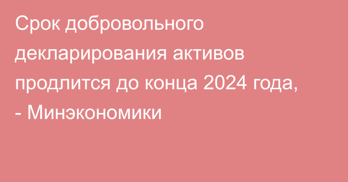 Срок добровольного декларирования активов продлится до конца 2024 года, - Минэкономики