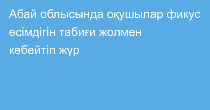 Абай облысында оқушылар фикус өсімдігін табиғи жолмен көбейтіп жүр