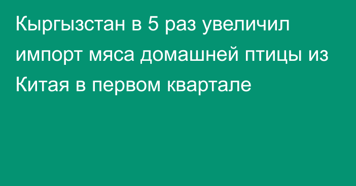 Кыргызстан в 5 раз увеличил импорт мяса домашней птицы из Китая в первом квартале