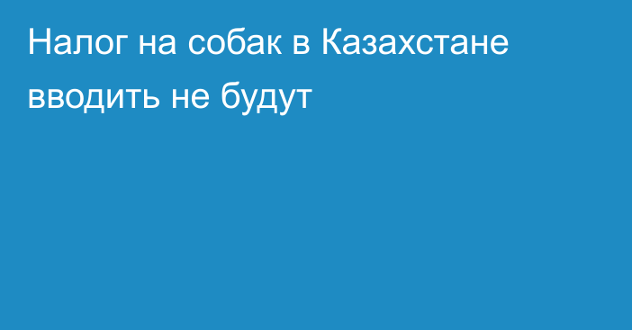 Налог на собак в Казахстане вводить не будут