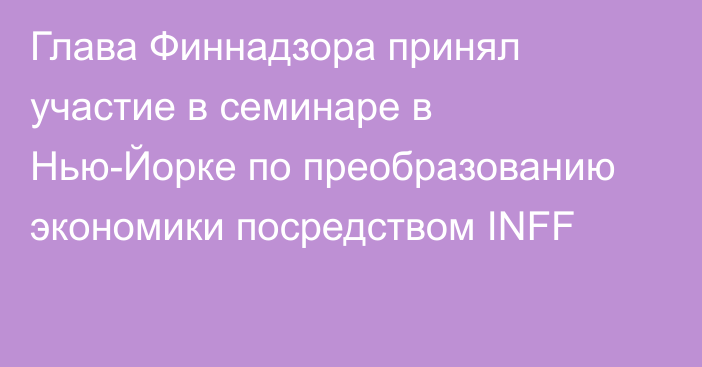 Глава Финнадзора принял участие в семинаре в Нью-Йорке по преобразованию экономики посредством INFF