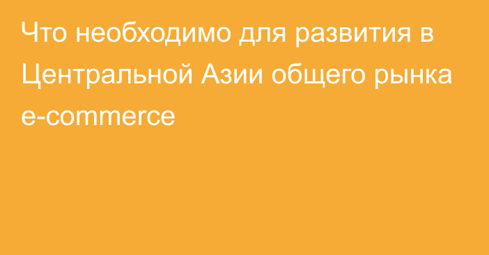 Что необходимо для развития в Центральной Азии общего рынка e-commerce