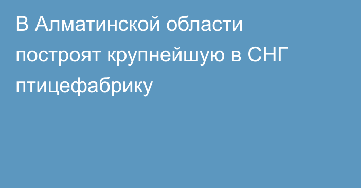 В Алматинской области построят крупнейшую в СНГ птицефабрику