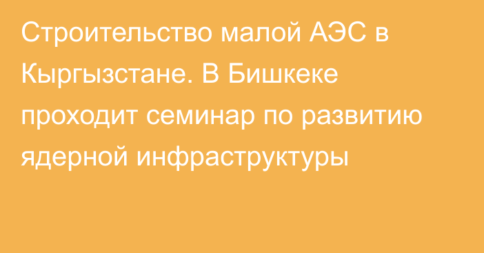 Строительство малой АЭС в Кыргызстане. В Бишкеке проходит семинар по развитию ядерной инфраструктуры