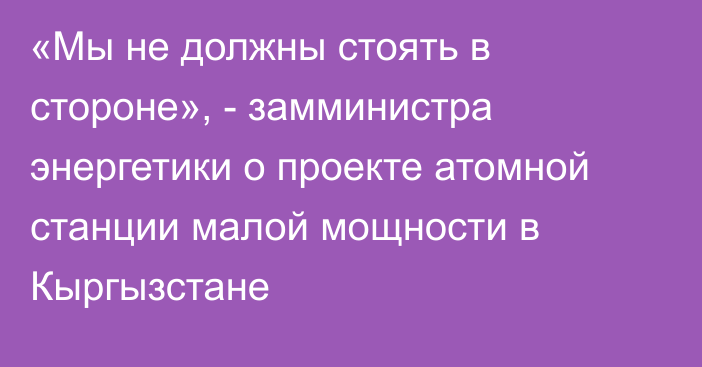 «Мы не должны стоять в стороне», - замминистра энергетики о проекте атомной станции малой мощности в Кыргызстане 