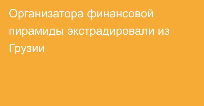 Организатора финансовой пирамиды экстрадировали из Грузии