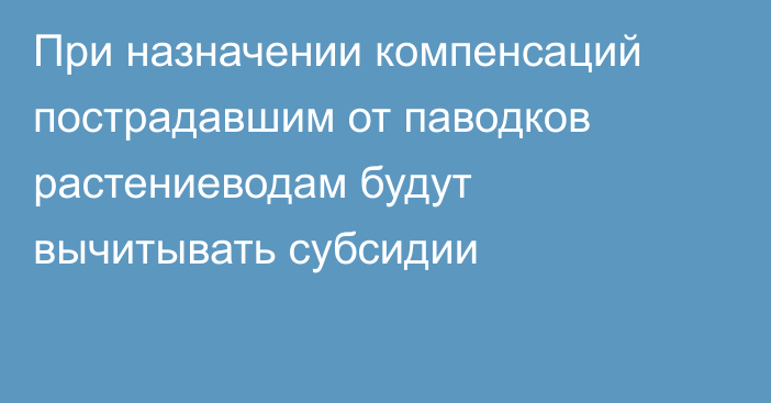 При назначении компенсаций пострадавшим от паводков растениеводам будут вычитывать субсидии