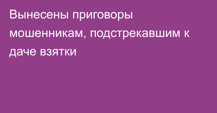 Вынесены приговоры мошенникам, подстрекавшим к даче взятки