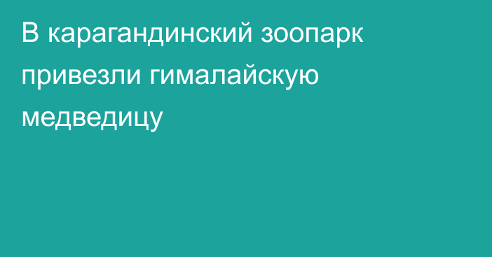 В карагандинский зоопарк привезли гималайскую медведицу