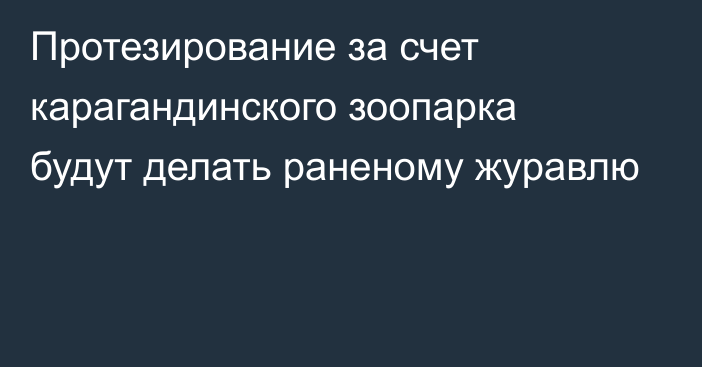 Протезирование за счет карагандинского зоопарка будут делать раненому журавлю