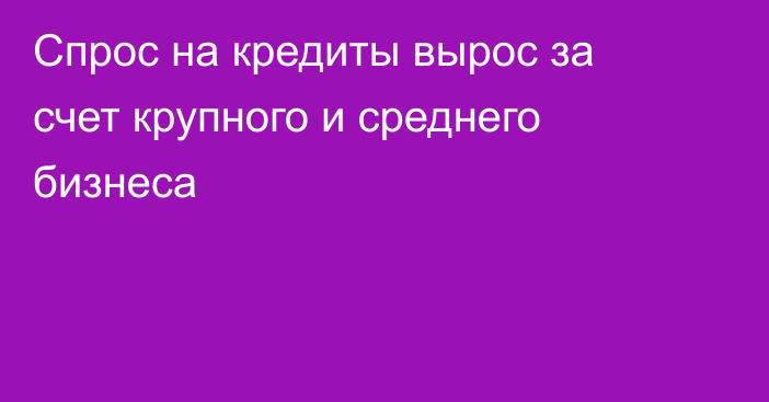 Спрос на кредиты вырос за счет крупного и среднего бизнеса