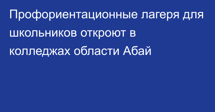 Профориентационные лагеря для школьников откроют в колледжах области Абай