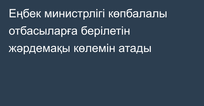 Еңбек министрлігі көпбалалы отбасыларға берілетін жәрдемақы көлемін атады