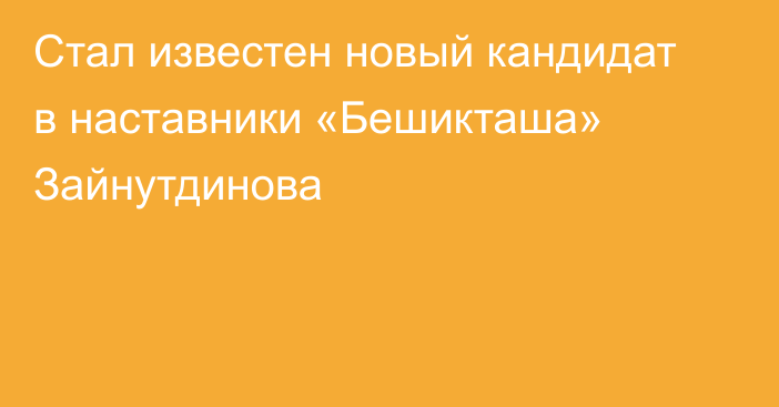 Стал известен новый кандидат в наставники «Бешикташа» Зайнутдинова